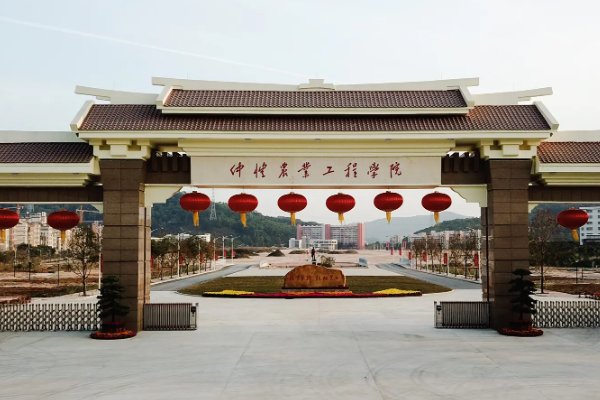 广州大学城有哪些大学？