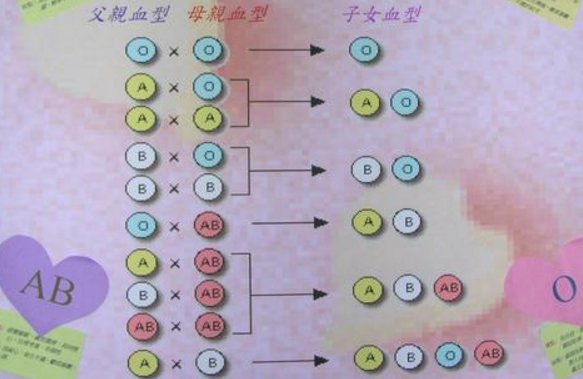 怎么测试自己的血型？