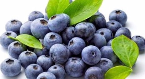 都柿的意思是什么?