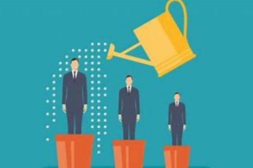 develop是什么意思