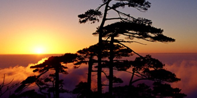 三清山门票多少钱