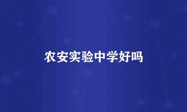 农安实验中学好吗