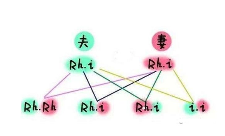 什么是隐性基因