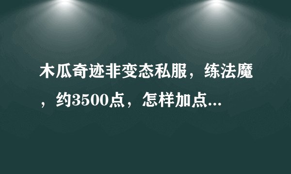 木瓜奇迹非变态私服，练法魔，约3500点，怎样加点，穿什么装备为好？