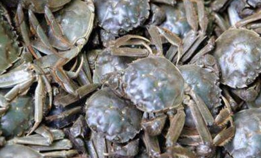 河蟹怎么做好吃又简单?