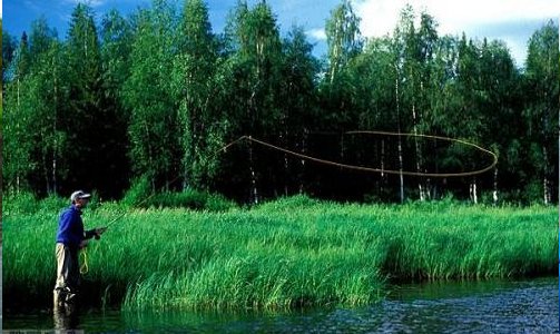 国内路亚10大品牌都有哪些?