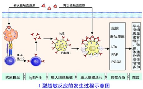抗体效价的定义，要通俗易懂的。。