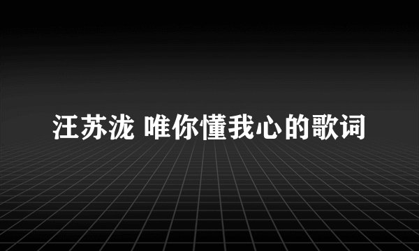 汪苏泷 唯你懂我心的歌词