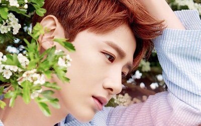 白敬亭出道6年，为什么从来不拍吻戏？