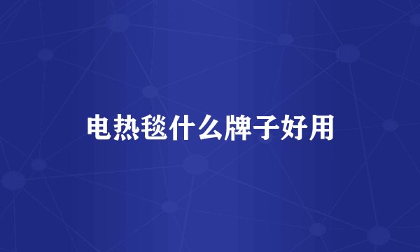 电热毯什么牌子好用