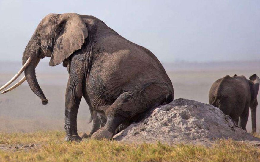 国内的文艺片都有哪些值得推荐?