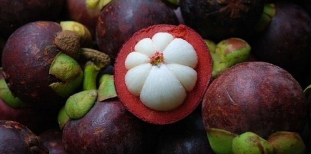 吃山竹到底是上火 还是降火？