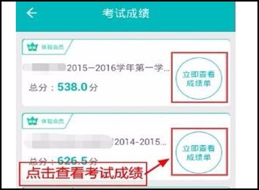 智学网如何查询学生成绩？