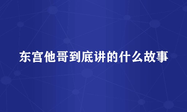 东宫他哥到底讲的什么故事