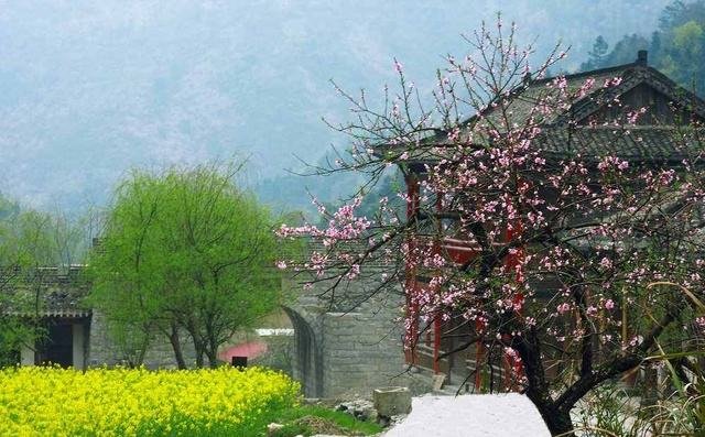 “王维的春来遍是桃花水，不辨仙源何处寻？”这句诗歌的全文是什么？主要意思是什么？