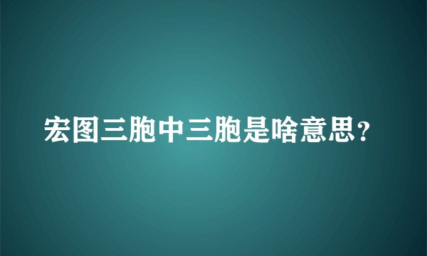 宏图三胞中三胞是啥意思？