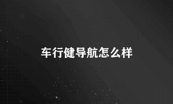 车行健导航怎么样