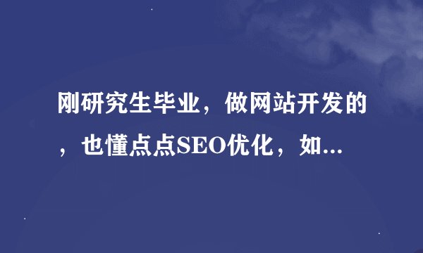 刚研究生毕业，做网站开发的，也懂点点SEO优化，如何创业呢？