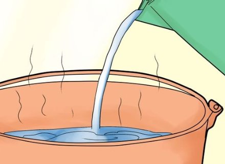 家里有跳蚤怎么办?