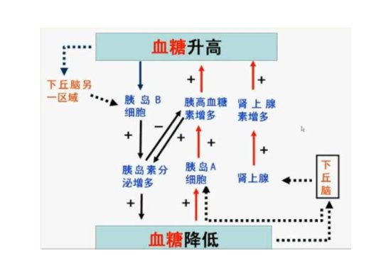 为什么我鼻子上经常长痘痘