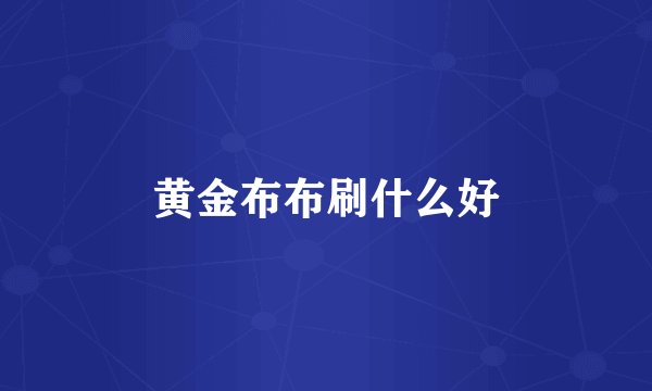 黄金布布刷什么好