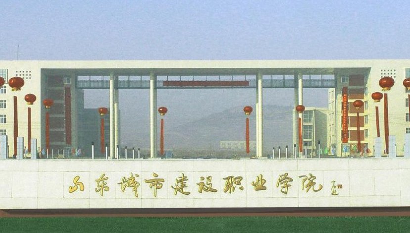 山东省的职业技术学院有哪些？