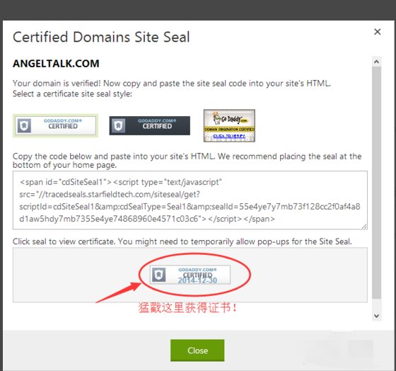 在 GoDaddy 注册的域名怎么做域名证书