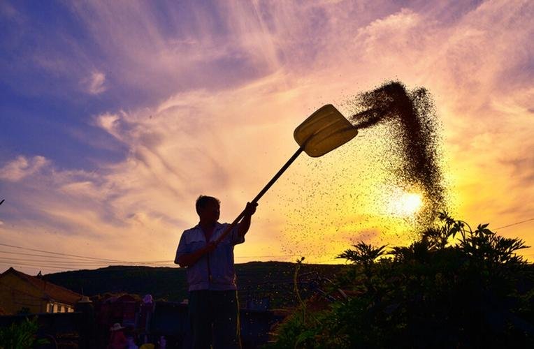 有关劳动的名言有哪些？