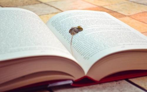 计算机病毒的四大特点