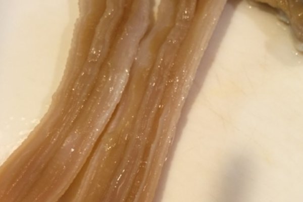 象拔蚌的杀法和吃法