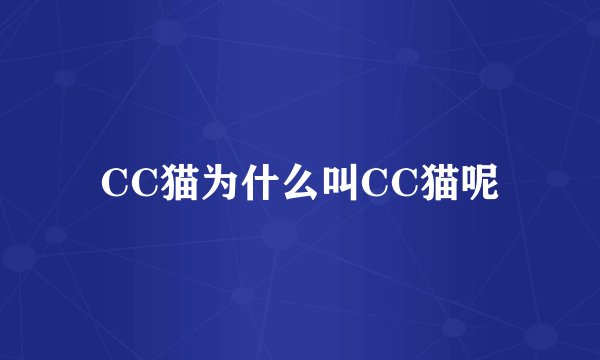 CC猫为什么叫CC猫呢