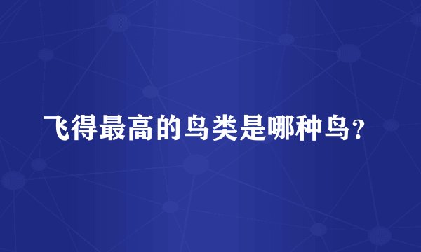 飞得最高的鸟类是哪种鸟？