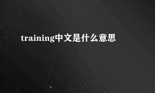 training中文是什么意思