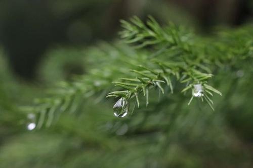 郑二的所有马甲名还有作品名字