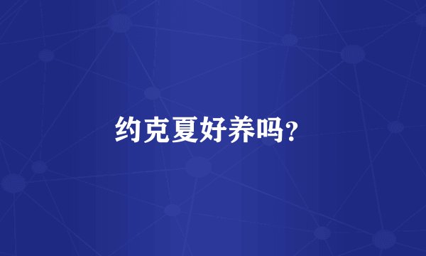 约克夏好养吗？