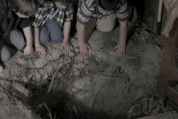 谁能知道李君纪实小说《关中盗墓贼》