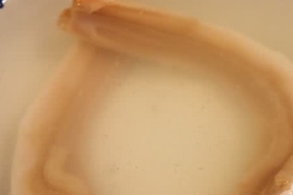 象拔蚌的杀法和吃法