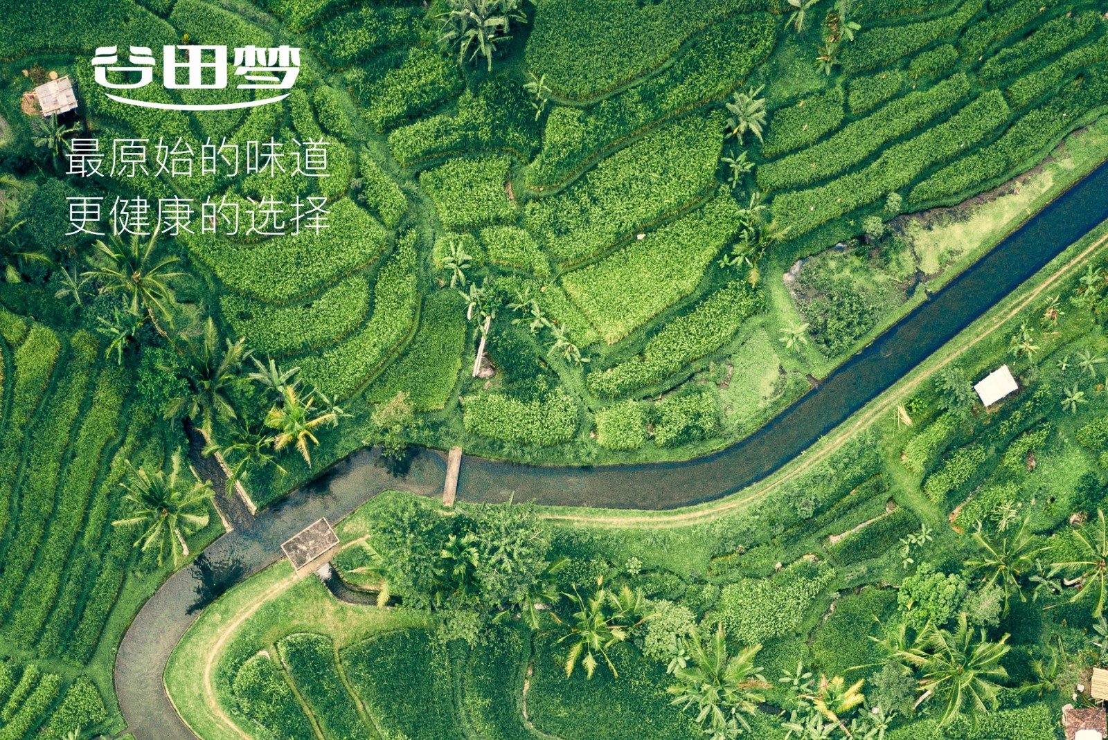 银耳的营养价值有哪些？