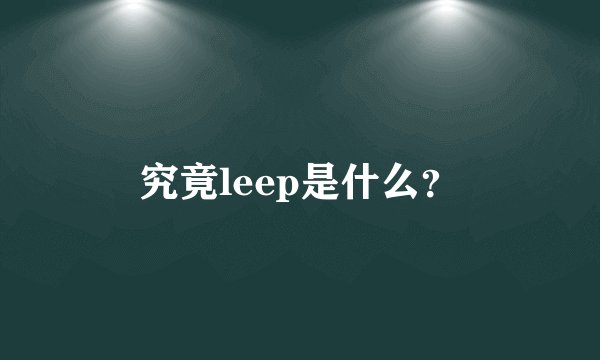 究竟leep是什么？