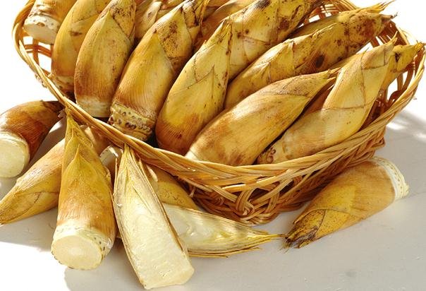 竹笋怎么做好吃?