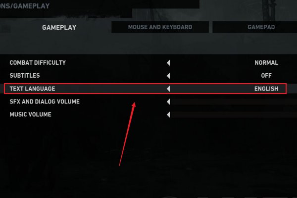 古墓丽影9怎么设置中文语言