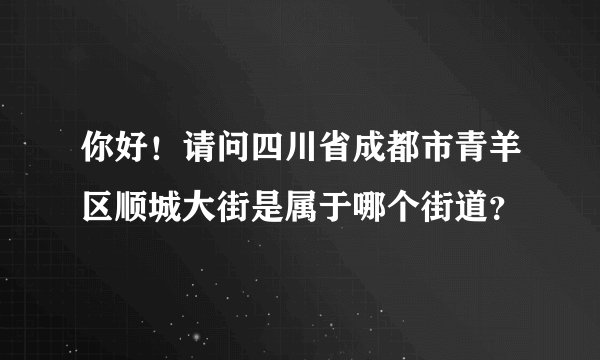 你好！请问四川省成都市青羊区顺城大街是属于哪个街道？