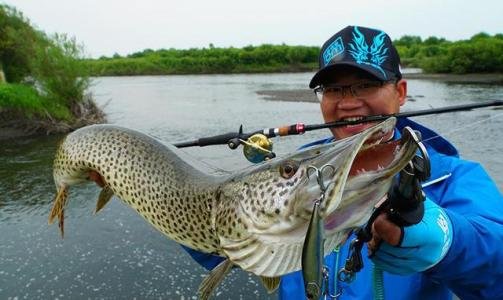 国内路亚10大品牌都有哪些?