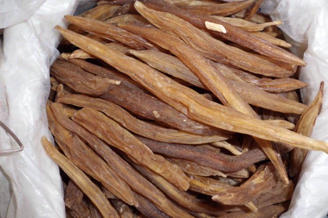 天门冬可不可以用酒来泡制