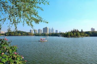 上海市有哪些公园？