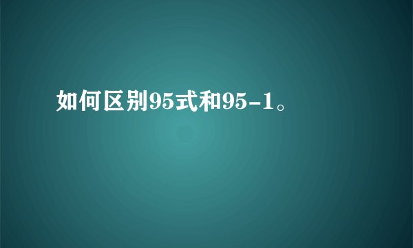 如何区别95式和95-1。