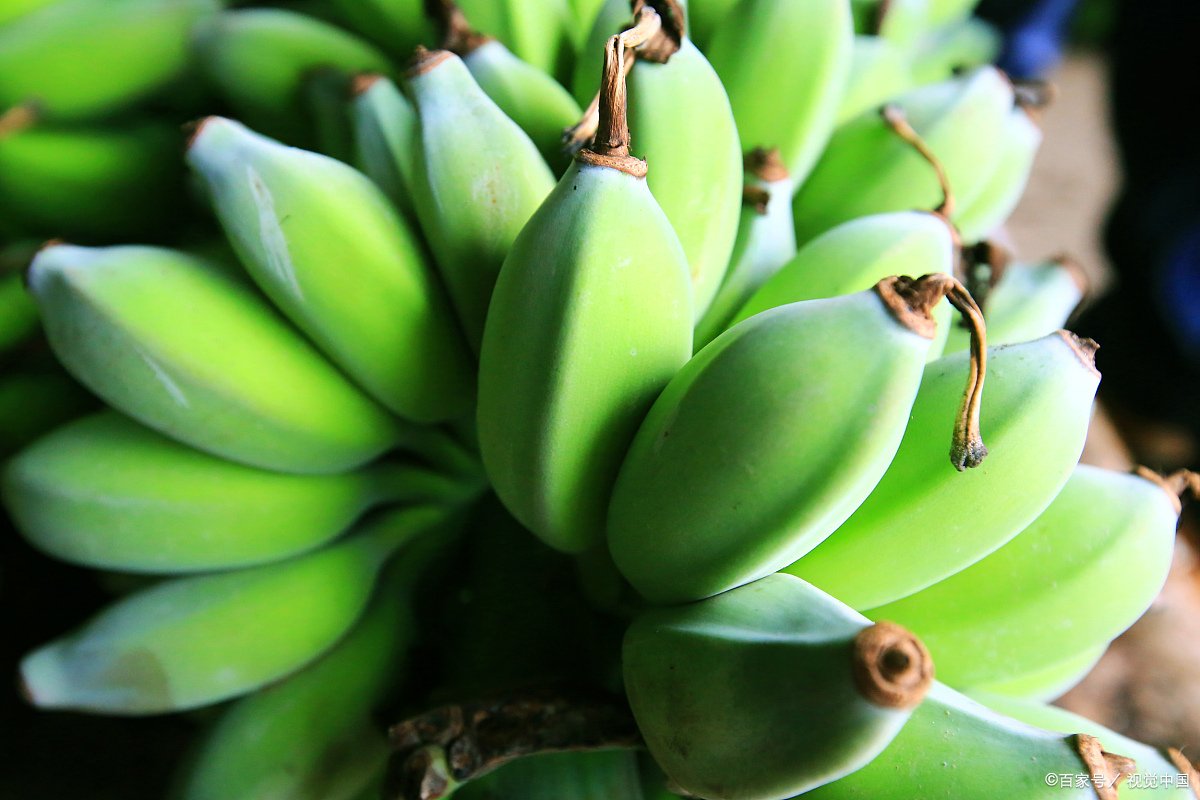 香蕉的营养价值?