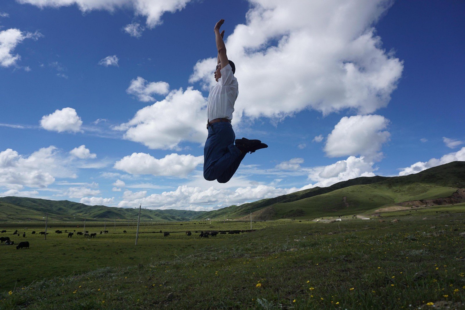 若尔盖草原住宿哪里好