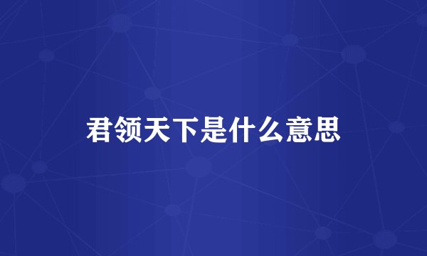 君领天下是什么意思