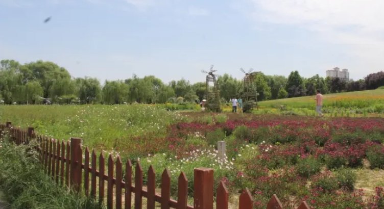 商丘师范学院好不好